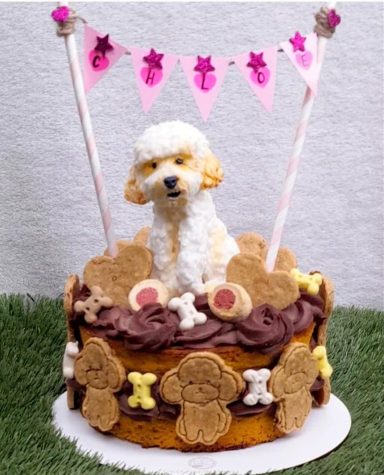 TARTA Y GALLETAS APTAS PARA PERRITOS Pastel decorado con un perro de fondant y galletas en una celebración.